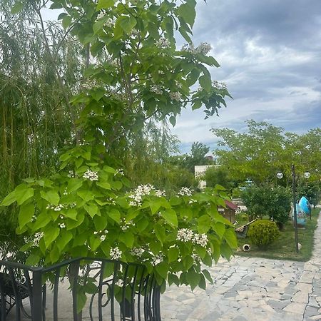 Ralina Restaurant And Hotel Село Арарат Экстерьер фото